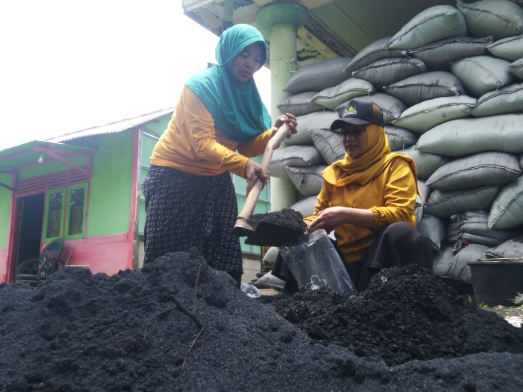 Omset Menjanjikan, Warga Desa Kedungdowo Kecamatan Balen Olah Limbah Peternakan Jadi Pupuk Organik