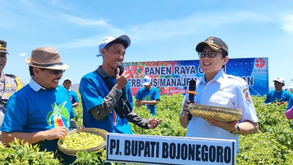 Gandeng BRIN, Pemkab Bojonegoro Kembangkan Budi Daya Cabai Berbasis Kawasan di Sambongrejo