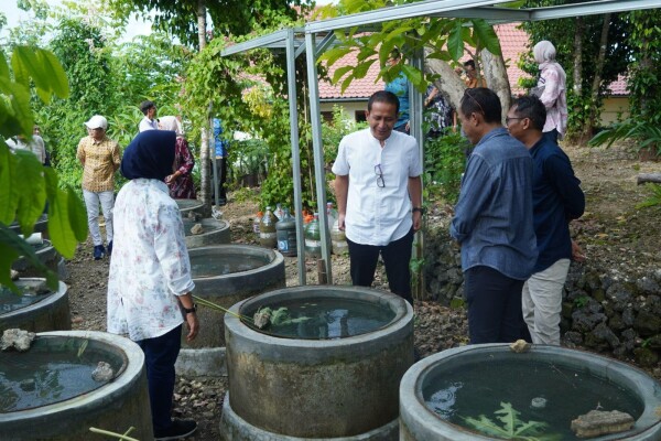 Pemkab Bojonegoro Perkuat Ketahanan Pangan Melalui Pembangunan Buis Beton Lele Konsumsi untuk KK Prasejahtera