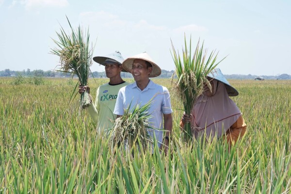 Pemkab Bojonegoro Jembatani Petani dengan Pengepul untuk Kestabilan Harga Hasil Panen