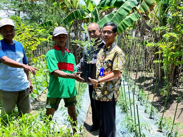 Pemkab Bojonegoro Salurkan Bibit Aneka Sayur untuk Keluarga Miskin, Bantu Perkuat Ketahanan Pangan Keluarga