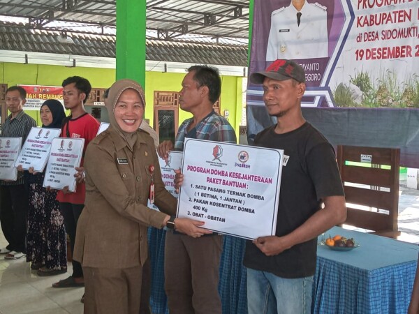 Tekan Angka Kemiskinan, Pemkab Bojonegoro Perluas Penerima Manfaat Program Domba Kesejahteraan