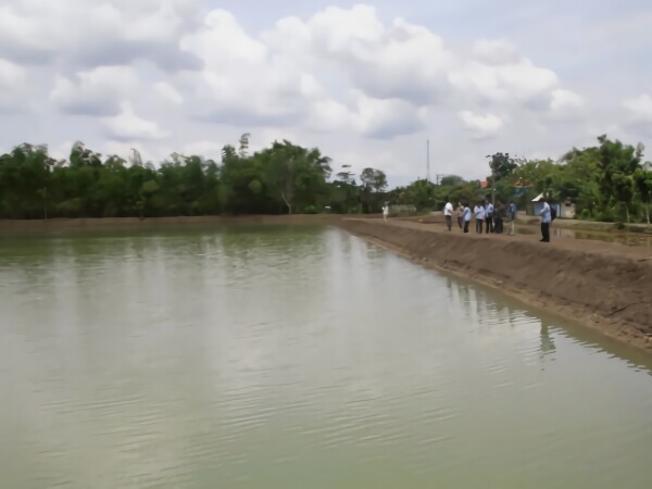 Pemkab Bojonegoro Optimalkan Fungsi Embung dan Jaringan Irigasi, Dorong Swasembada Pangan