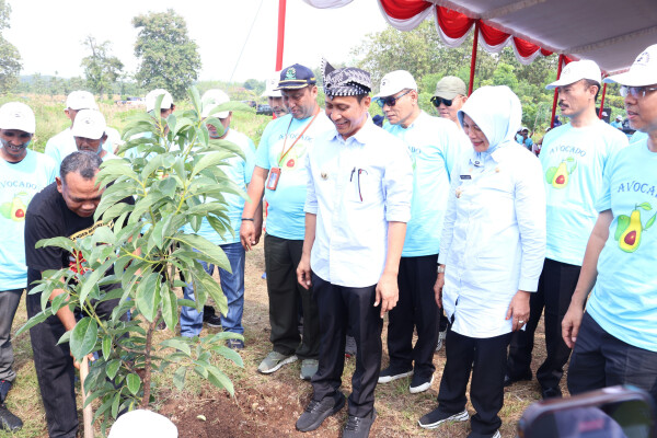 Jaga Kelestarian Lingkungan, Bupati Bojonegoro Lakukan Gerakan Tanam Pohon Sistem Tumpangsari di Lahan Perhutani