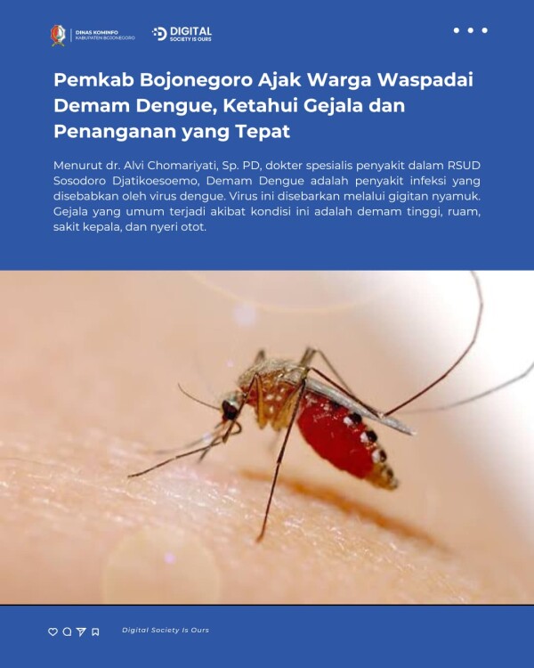 Pemkab Bojonegoro Ajak Warga Waspadai Demam Dengue, Ketahui Gejala dan Penanganan yang Tepat