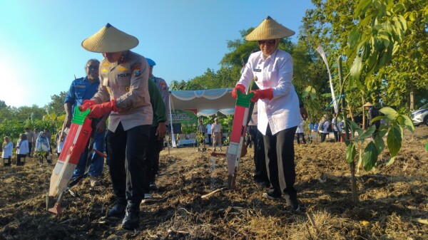 Pemkab dan Polres Bojonegoro Bersinergi Wujudkan Ketahanan Pangan, Gelar Penanaman Jagung di Lahan Hutan