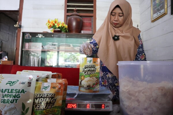 Manfaatkan Bahan Pangan Lokal, Warga Ngasem-Bojonegoro Sukses Olah Gerut Jadi Camilan Emping Gurih