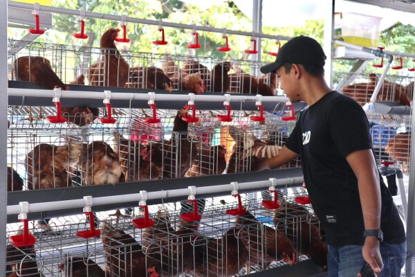 Program GAYATRI Bojonegoro Tunjukkan Hasil Menggembirakan, Warga Rasakan Manfaat Penjualan Telur