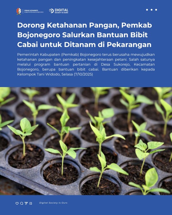 Dorong Ketahanan Pangan, Pemkab Bojonegoro Salurkan Bantuan Bibit Cabai untuk Ditanam di Pekarangan