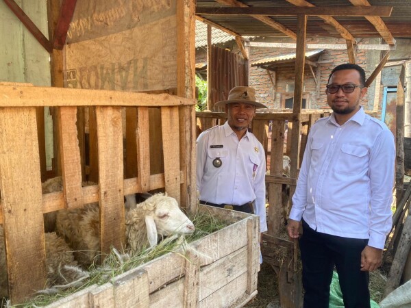 Desa Tikusan-Bojonegoro Kembangkan Program Ketahanan Pangan Lewat Program Domba