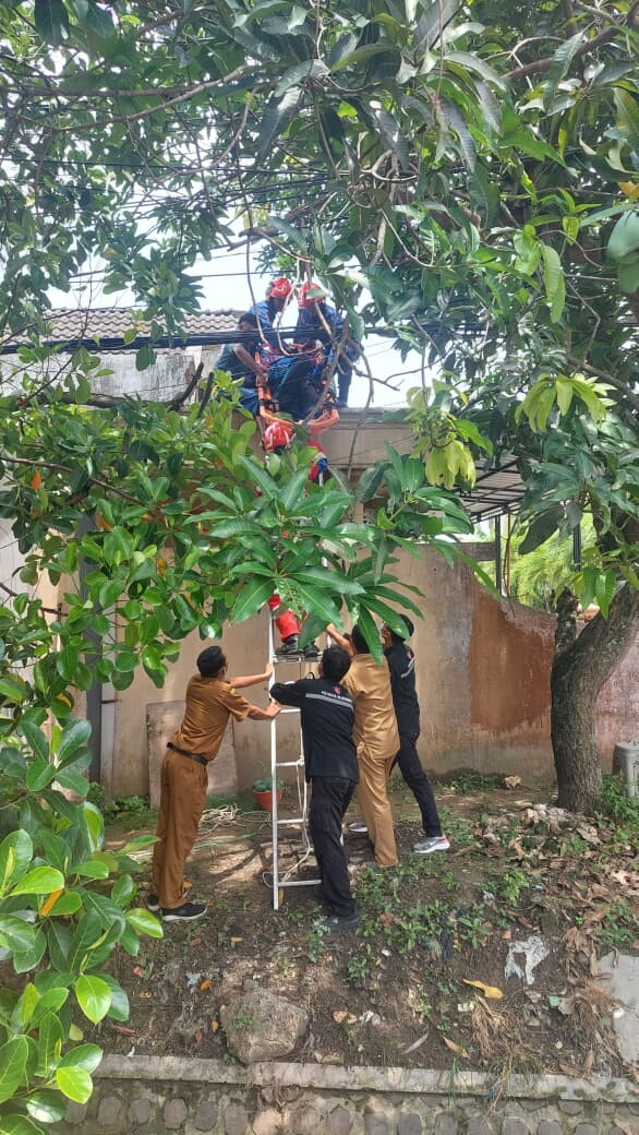 Tanggap Darurat, Dinas Damkarmat Bojonegoro Evakuasi Pria Lansia yang Pingsan di Atas Rumah