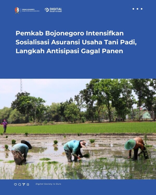 Pemkab Bojonegoro Intensifkan Sosialisasi Asuransi Usaha Tani Padi, Langkah Antisipasi Gagal Panen
