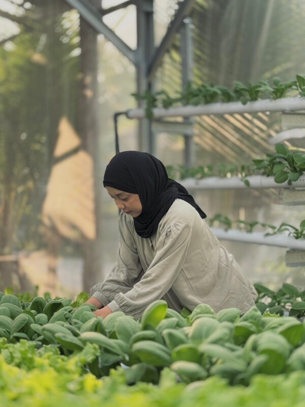 Inspiratif, Isna Nur Rafidah Sukses Kembangkan Kebun Sayur Hidroponik di Bojonegoro